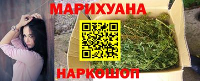 гашик Бузулук